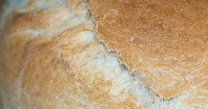 Pan en Pirex - Primer plano